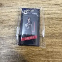 櫻坂46 生写真 向井純葉 福袋 2026 パイレーツ キーホルダー