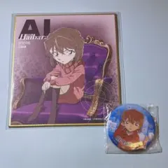 名探偵コナン 灰原哀 ミニ色紙 缶バッジ