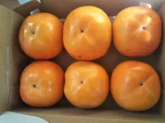 渋柿 横野柿 6個 箱込1.5キロ