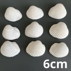 Item thumbnail for item 7e1cbd08-c2b5-4f05-8fae-7e490d28f18a