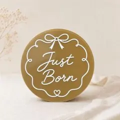 ニューボーンフォト 木製レターバナー Just Born