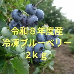 ☆令和8年 生ブルーベリー☆農薬不使用 2㌔ - メルカリ