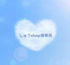 しゅうshop様専用シマエナガ❅ブルードロップネックレス♡ライトグリーンヘアゴム
