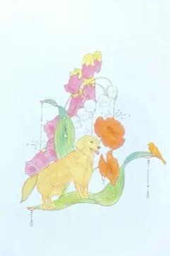 ゴールデンレトリバー　カナリア　草花　イラスト　⚠原画ではありません。