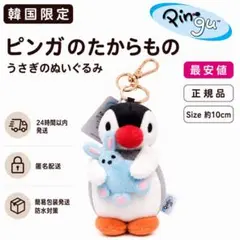【韓国限定】ピンガ たいせつなうさぎ ぬいぐるみキーホルダー ピングー