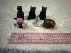 最終値下げ　黒猫フィギュアセット