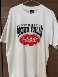 【美品】FRUIT OF THE LOOMTプリントシャツ