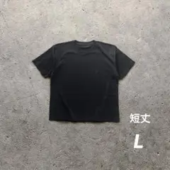 クロップドTシャツ ストリートシック アーカイブ Lサイズ