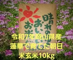 令和7年産 希少米 緑肥＆有機肥料 特別栽培米【朝日】10キロ - メルカリ