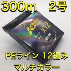 (L08)　PE ライン・12編・2号・マルチカラー・300ｍのサムネイル
