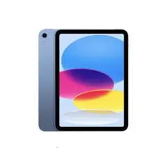 Apple iPad ブルー Wi-Fiモデル A16