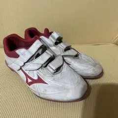 Item thumbnail for item eb9f11ed-dfcc-45c2-b729-8d55a216e437