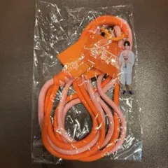 超特急 ハル ハル夏秋冬 スクラッチ ペンライトショルダーストラップ