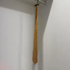 Salvatore Ferragamo ネクタイ