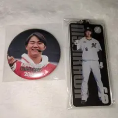 千葉ロッテマリーンズ 西川史礁 グッズセット - メルカリ
