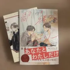 鄙には稀なエリー