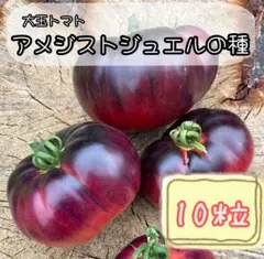 Loke様 リクエスト 2点 まとめ商品