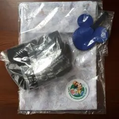 Disney　バケーションパッケージ　特典　３点セット