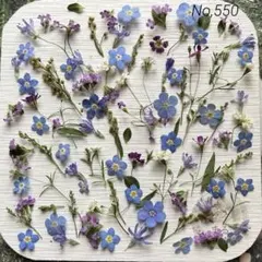 No,550 特小小花ミックス　ドライフラワー花材