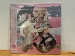 2026年最新】きのこ帝国 猫とアレルギーの人気アイテム - メルカリ