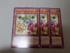遊戯王 トリコロール・ガジェット 3枚