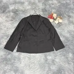 エヴェックス バイ クリツィア（LL）長袖 テーラードジャケット 洗練 リネン混のサムネイル