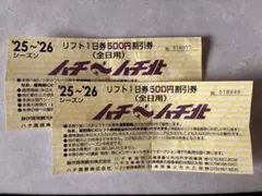 2026年最新】ハチ リフト券の人気アイテム - メルカリ
