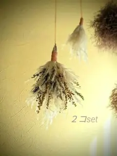 春を告げるミモザとパンパスグラスのスワッグ ×ミニパンパススワッグ 2個set