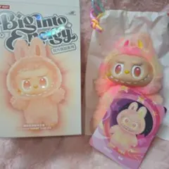 2025年最新】POPMART labubu シークレットの人気アイテム - メルカリ