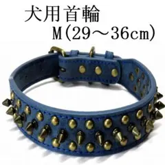 Item thumbnail for item 9d26a75a-53c5-416a-80e8-6917570c68b4