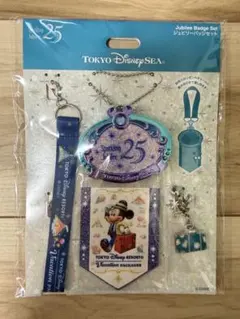 ⭐︎シー25周年☆ジュビリーバッジ4点セット ファンダフル限定 - メルカリ