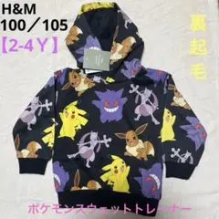 ポケモン総柄フード付きトレーナー　ピカチュウ　新品未使用　100/105