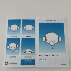 サンリオ 証明写真風スマロイド NG集 こぎみゅん