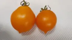 12334様 リクエスト 5点 まとめ商品