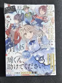 お隣の天使様にいつの間にか駄目人間にされていた件 8.5　特装版