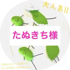 【たぬきち様】 ひみつの おるすばん風 ロブロックス
