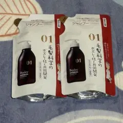 Item thumbnail for item f9376044-9fe3-421b-8056-806c1d84c64b