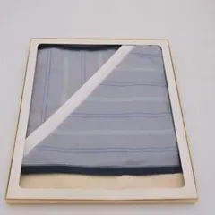 Item thumbnail for item a7e73d2f-ebfd-43d3-84b5-2f6919dd2f74