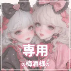 梅酒様ꕤ専用ꕤ