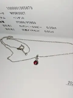 未使用 ルビー/ダイヤモンド プラチナネックレス クレサンベール