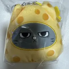 BOYNEXTDOOR トムジェリ チーズ キーリング テサン ハンテップン