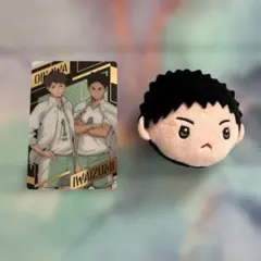 ハイキュー 青葉城西　岩泉一　及川徹