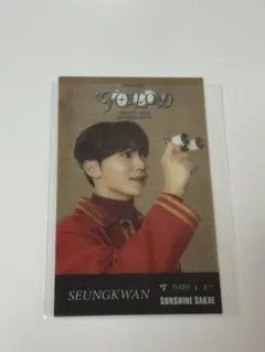 SEVENTEEN セブチ SEUNGWAN スングァン トレカ follow