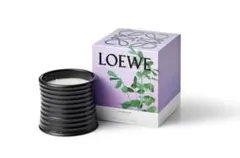 新品未使用 LOEWE LIQUORICE リコリス キャンドル 170g 新品未使用 LOEWE LIQUORICE リコリス キャンドル 170g - メルカリ