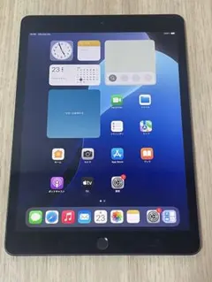 Apple iPad 第7世代 Wi-Fi 128GB MW772J/A