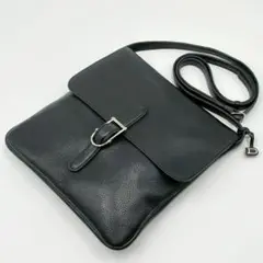 2025年最新】DELVAUX バッグの人気アイテム - メルカリ