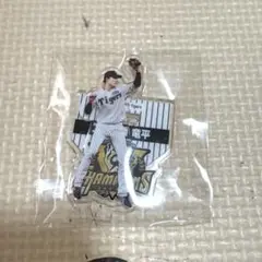 阪神タイガース2025セ・リーグ優勝記念くじ アクリルスタンドアクスタ　小幡竜平