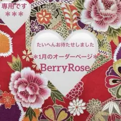 ＊ぷうあ様専用