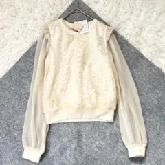 Item thumbnail for item 95adb357-2a0e-4219-aeeb-b2906917a51d