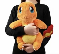 ヒトカゲ ぬいぐるみ 中国ポケモンセンター限定 未開封